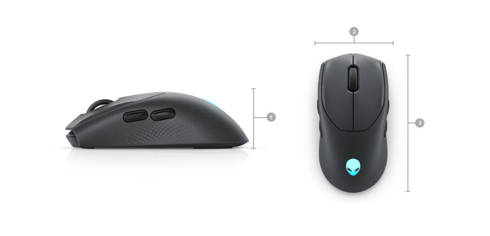 125.png?v=1672997730335