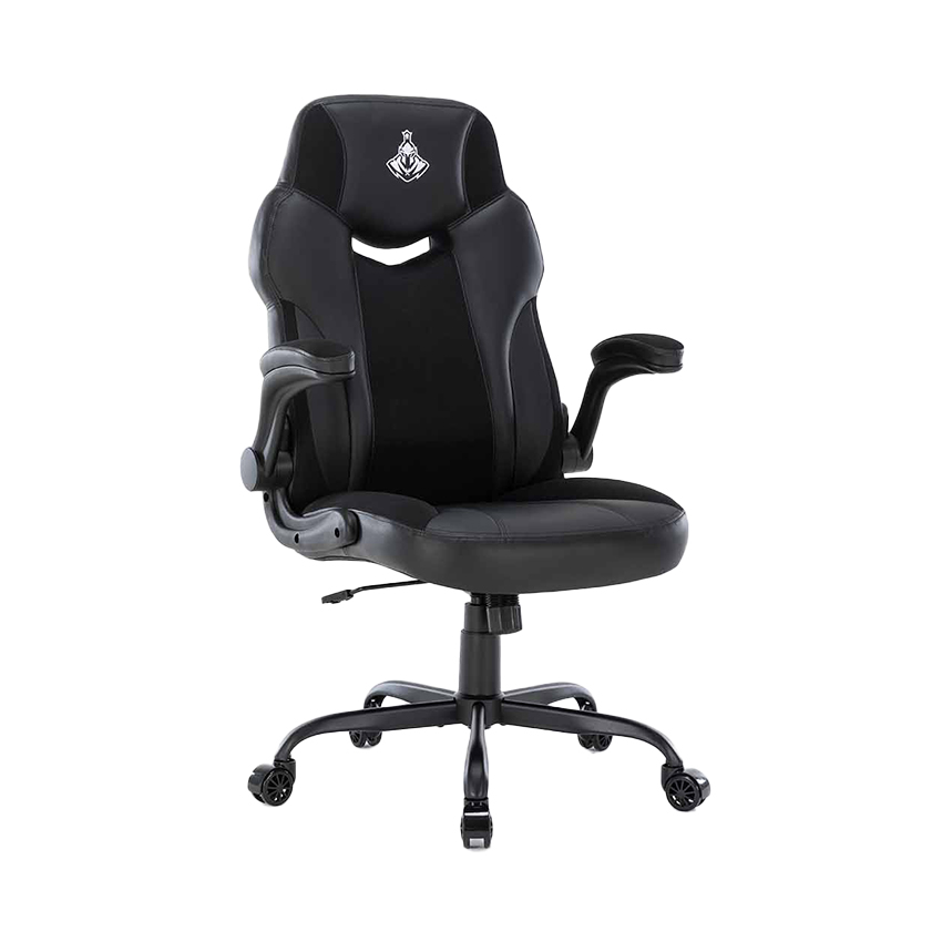 WARRIOR GAMING CHAIR - Raider Series - WGC203 - (Black hoặc Black / Red)