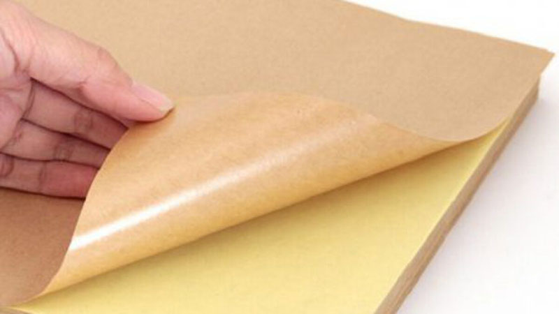 TOP 5 máy in giấy decal da bò chất lượng, giá tốt
