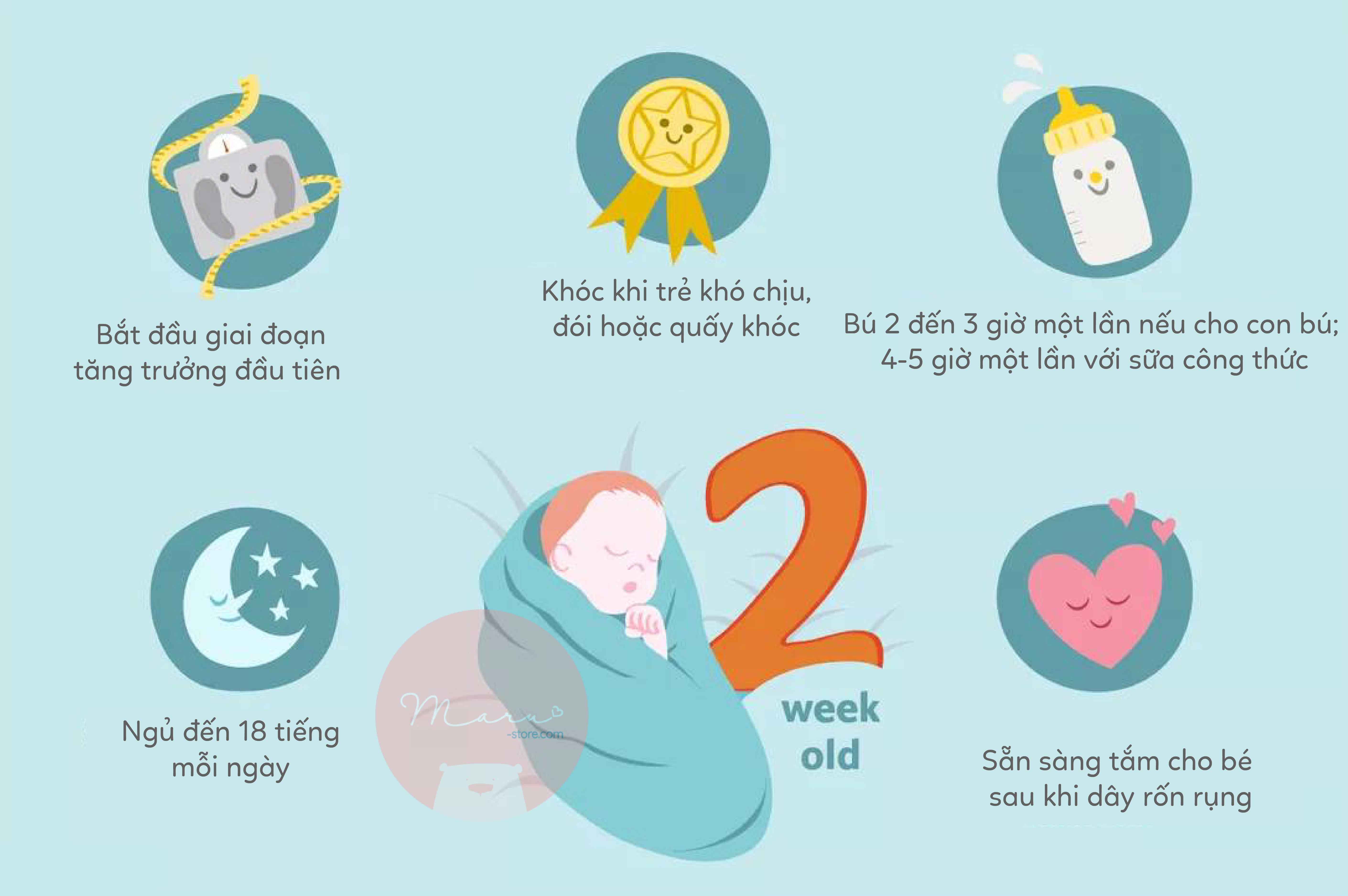 Sự phát triển của em bé 2 tuần tuổi