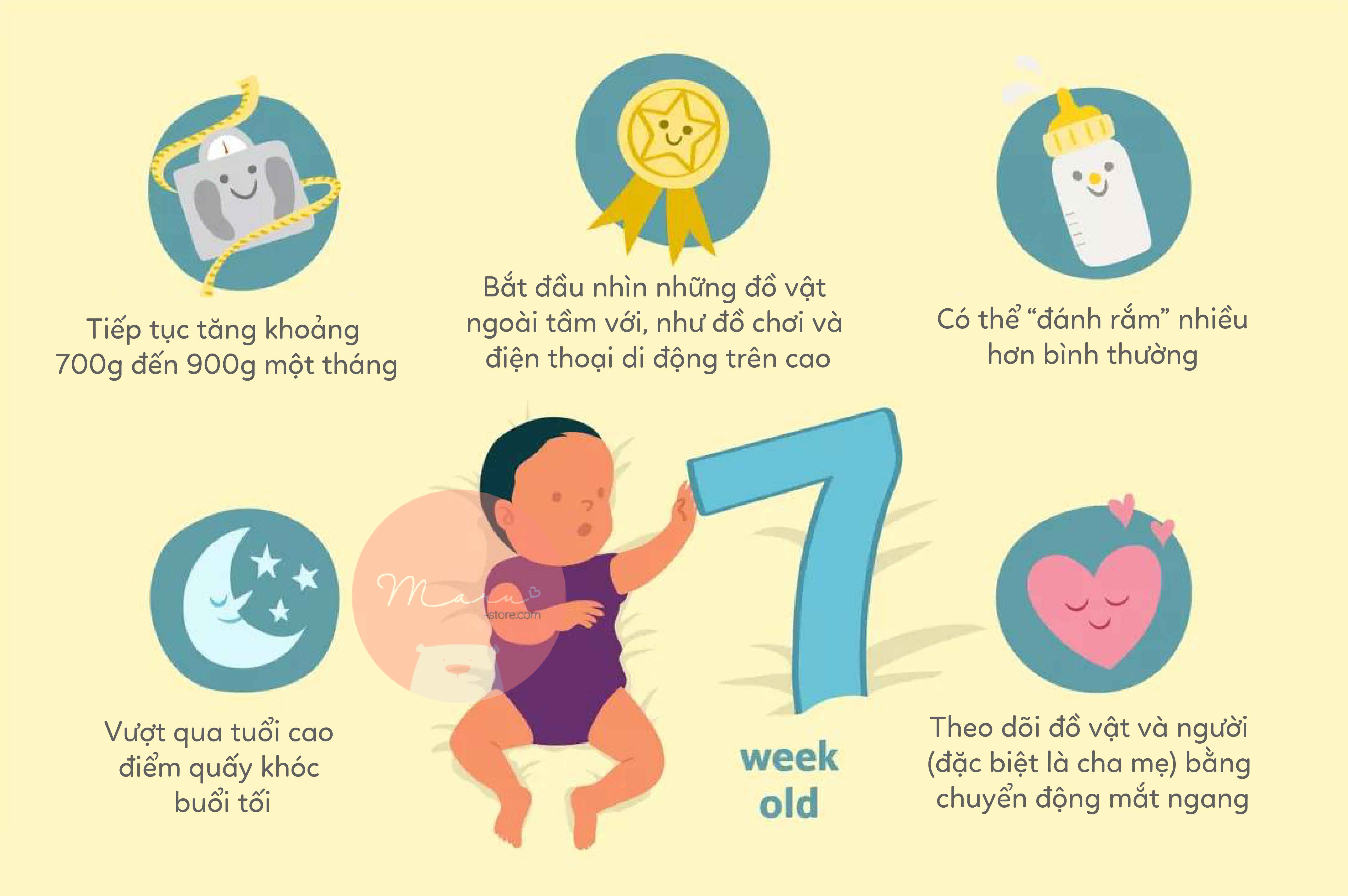 Sự phát triển của em bé 7 tuần tuổi (Phần 1)