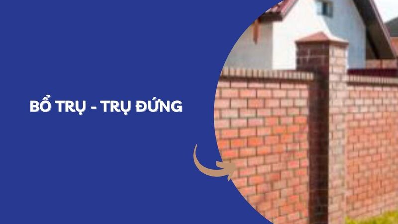 bổ trụ là gì