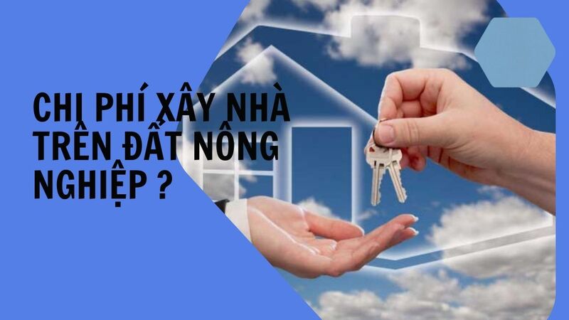 xây nhà có phải nộp thuế xây dựng không