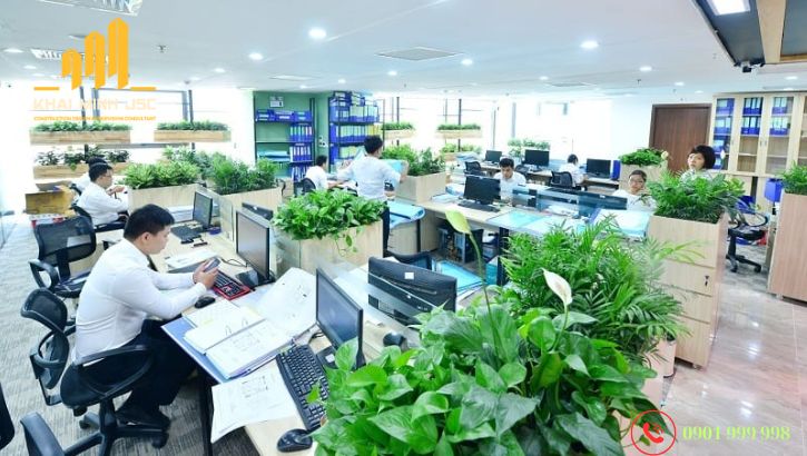  Cây xanh mang đến những lợi ích bất ngờ cho sức khỏe và hiệu suất làm việc của nhân viên