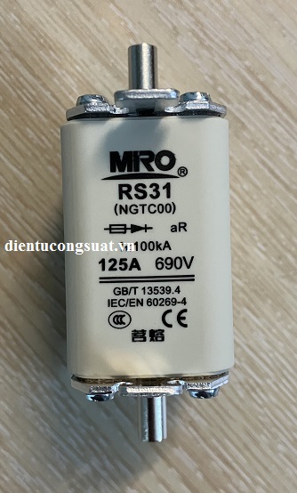 rs31-ngtc00-125a-690v