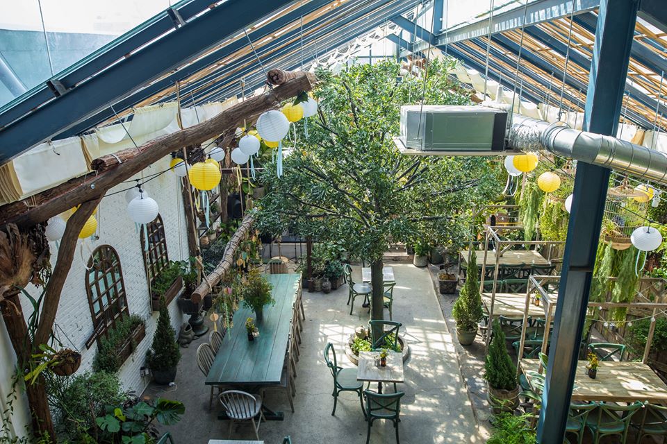 Tiết lộ cách trang trí quán cafe bình dân ít tốn kém nhất 6 Cách trang trí quán cafe ít tôn kém nhất là tận dụng ánh sáng tự nhiên