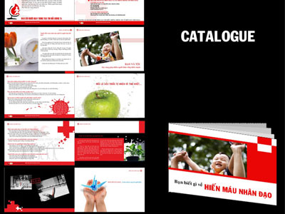 Catalogue Và Công Dụng Của Nó