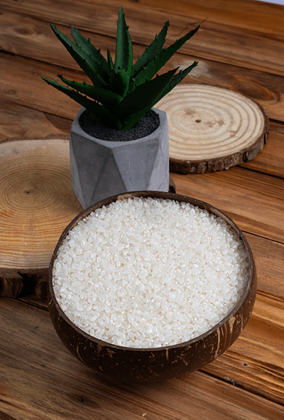 Japonica Rice