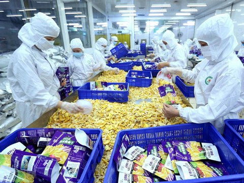 Ứng dụng công nghệ trong thu hoạng nông sản