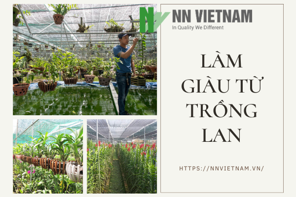 Địa chỉ bán lưới che nắng cho lan tốt nhất thị trường