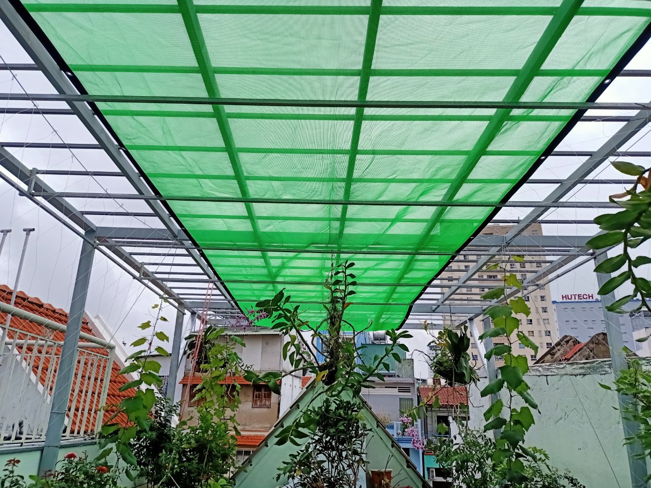 Lưới Che Lan, Cây Trồng - Lưới che nắng 50% - Màu Xanh (May 1 lớp)