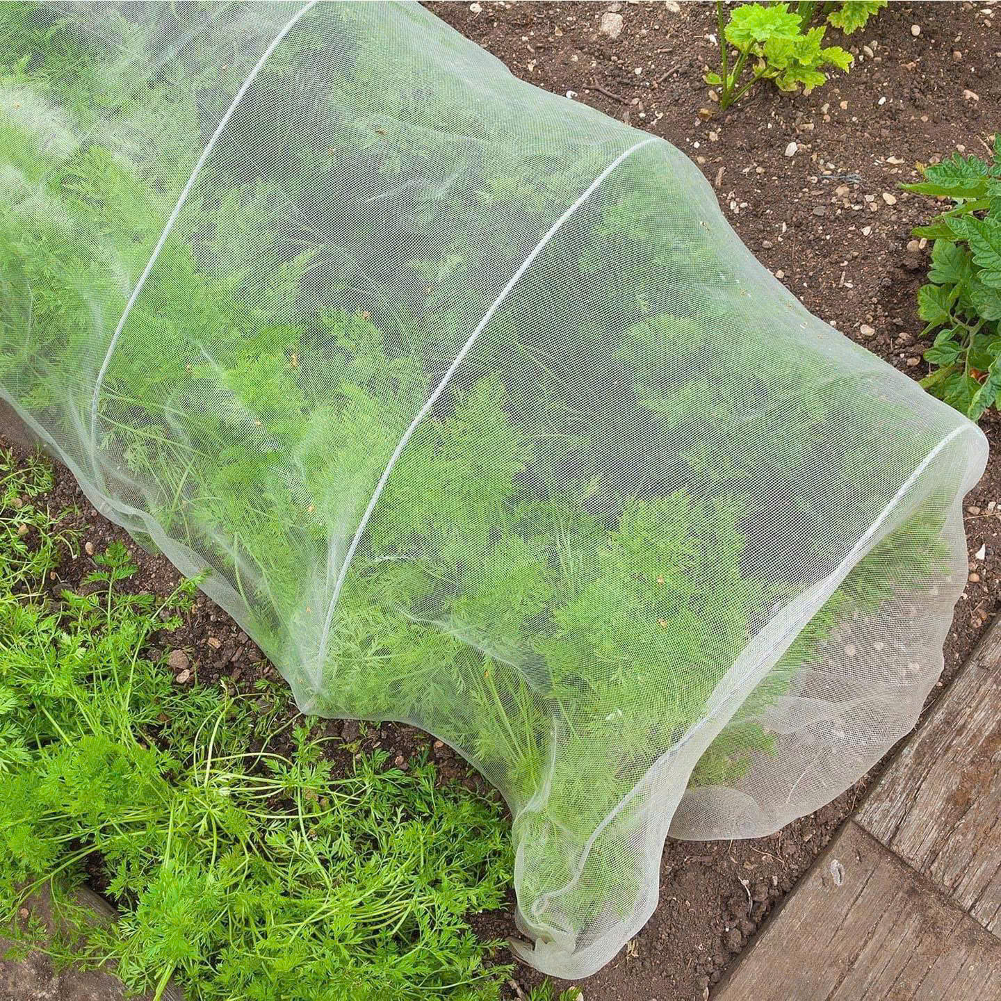 Lưới Chắn Côn Trùng Trắng 22 Mesh Khổ 2m | HDPE Chống UV