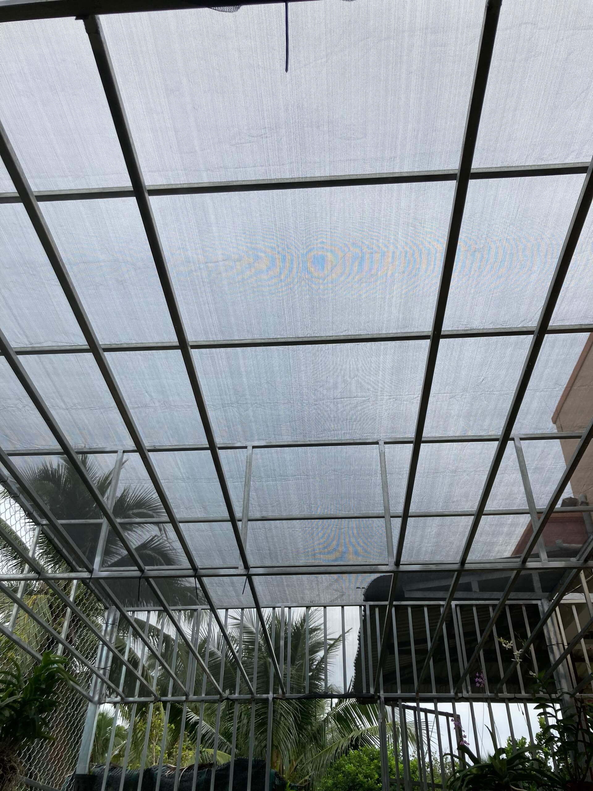 Lưới Che Lan, Cây Trồng - Lưới Che Nắng 60% -  Màu Đen