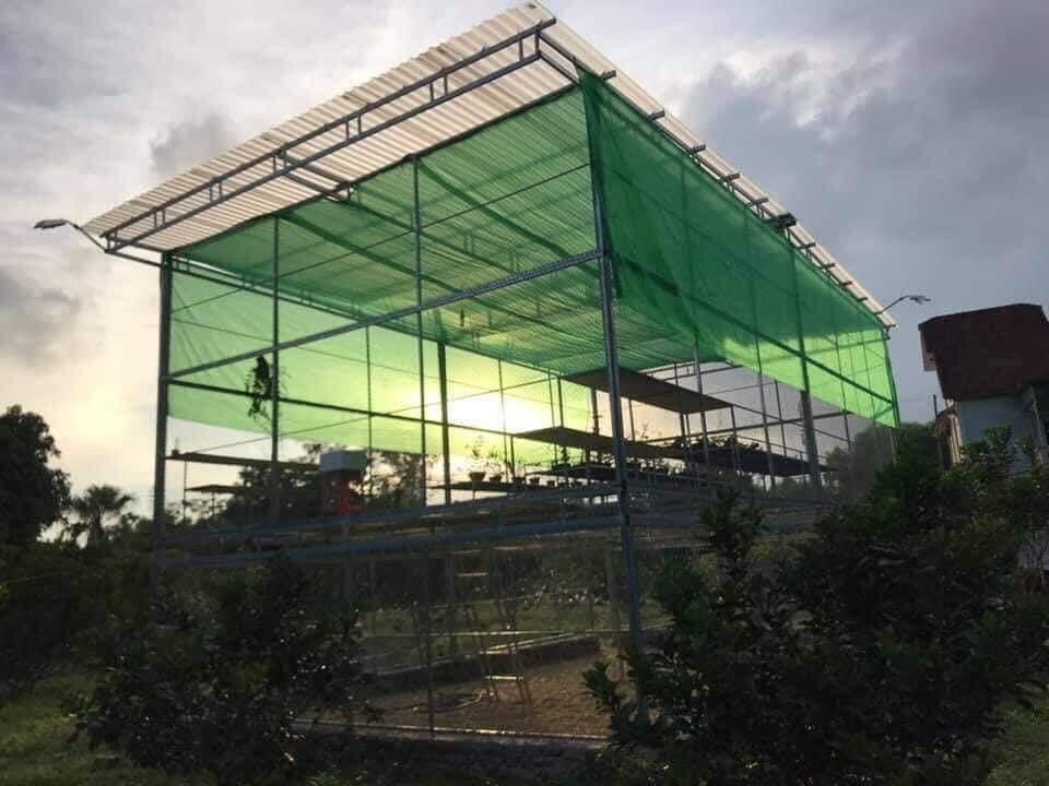 Lưới Che Lan, Cây Trồng - Lưới Che Nắng 50% – Màu Xanh