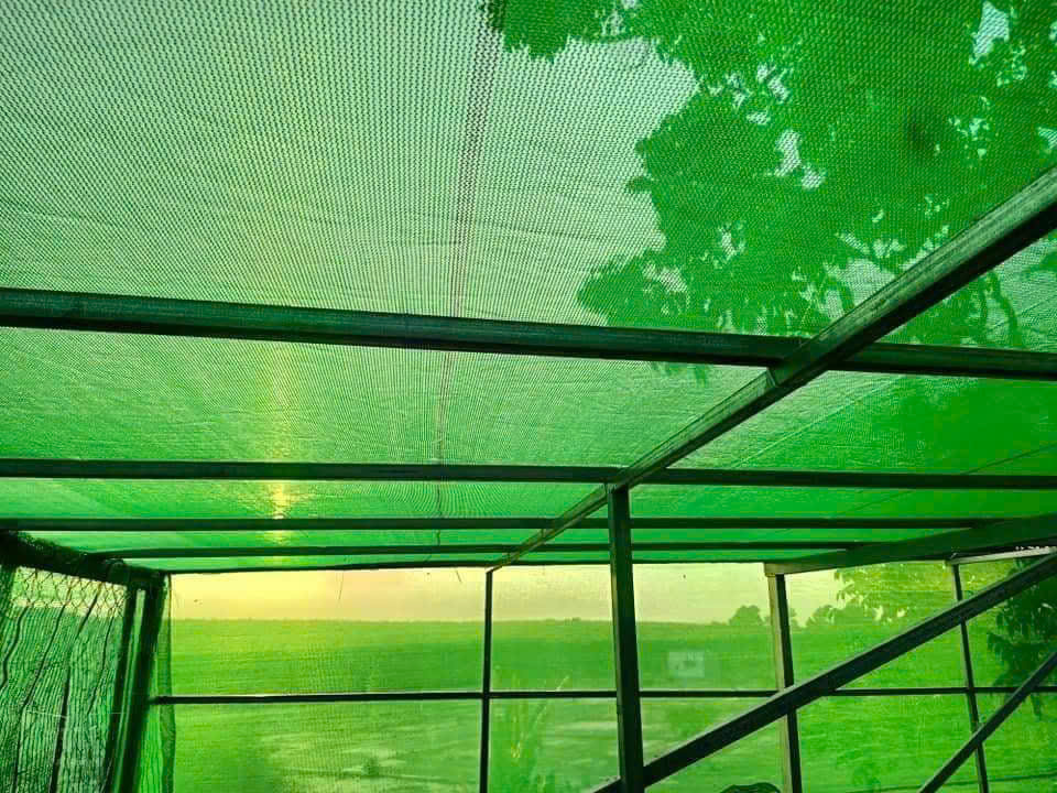 Lưới Che Lan, Cây Trồng - Lưới Che Nắng 50% -  Màu Xanh