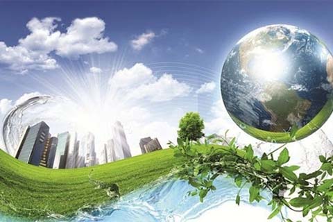 Cơ hội lớn cho doanh nghiệp khi thực hiện Net Zero