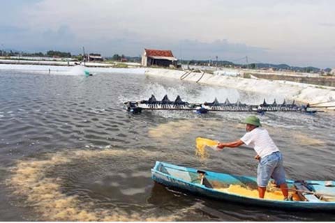 Kiểm soát, ngăn ngừa ô nhiễm trong các hoạt động thủy sản Kiểm soát, ngăn ngừa ô nhiễm trong các hoạt động thủy sản