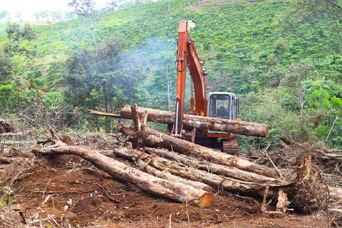 Tình trạng phá rừng ở huyện miền núi tại Quảng Trị