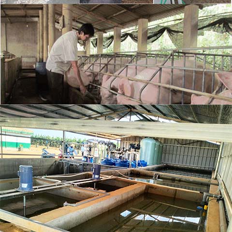 Giải pháp nước sạch cho chăn nuôi