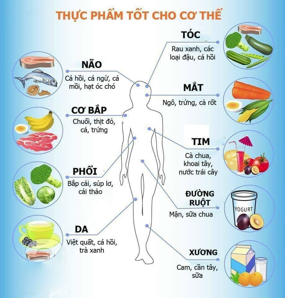 THỰC PHẨM TỐT CHO CƠ THỂ