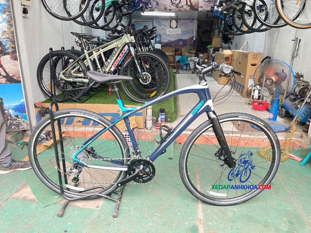 Anyroad 2016 Giant Anyroad Sales