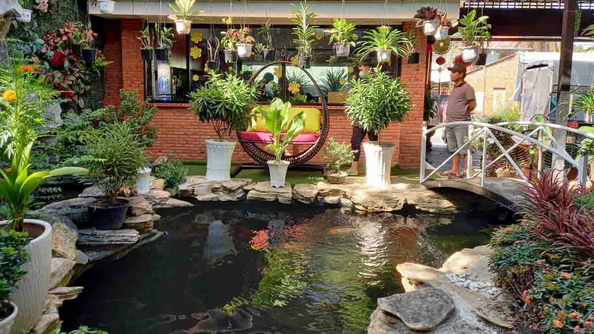 CÁI GÌ CŨNG CÓ THIS CÓ THAT!