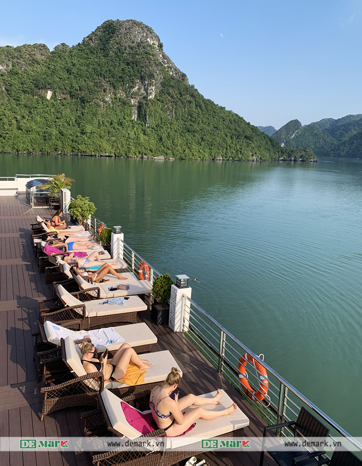 Nội Thất DeMark cung cấp Ghế Hồ Bơi Giả Mây cho du thuyền 5* Oasis Bay Party Cruise Halong Bay