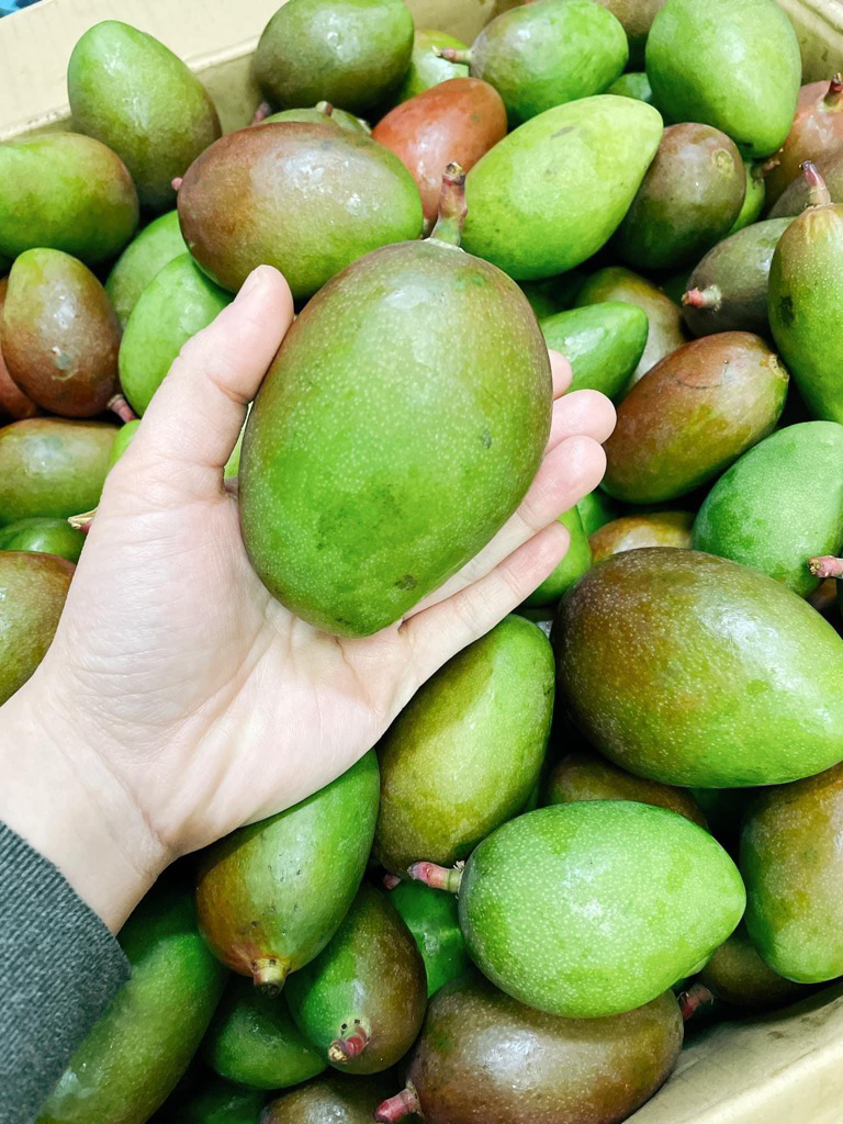 Xoài Okinawa: Khám Phá Đặc Sản Ngọt Ngào Và Lợi Ích Sức Khỏe