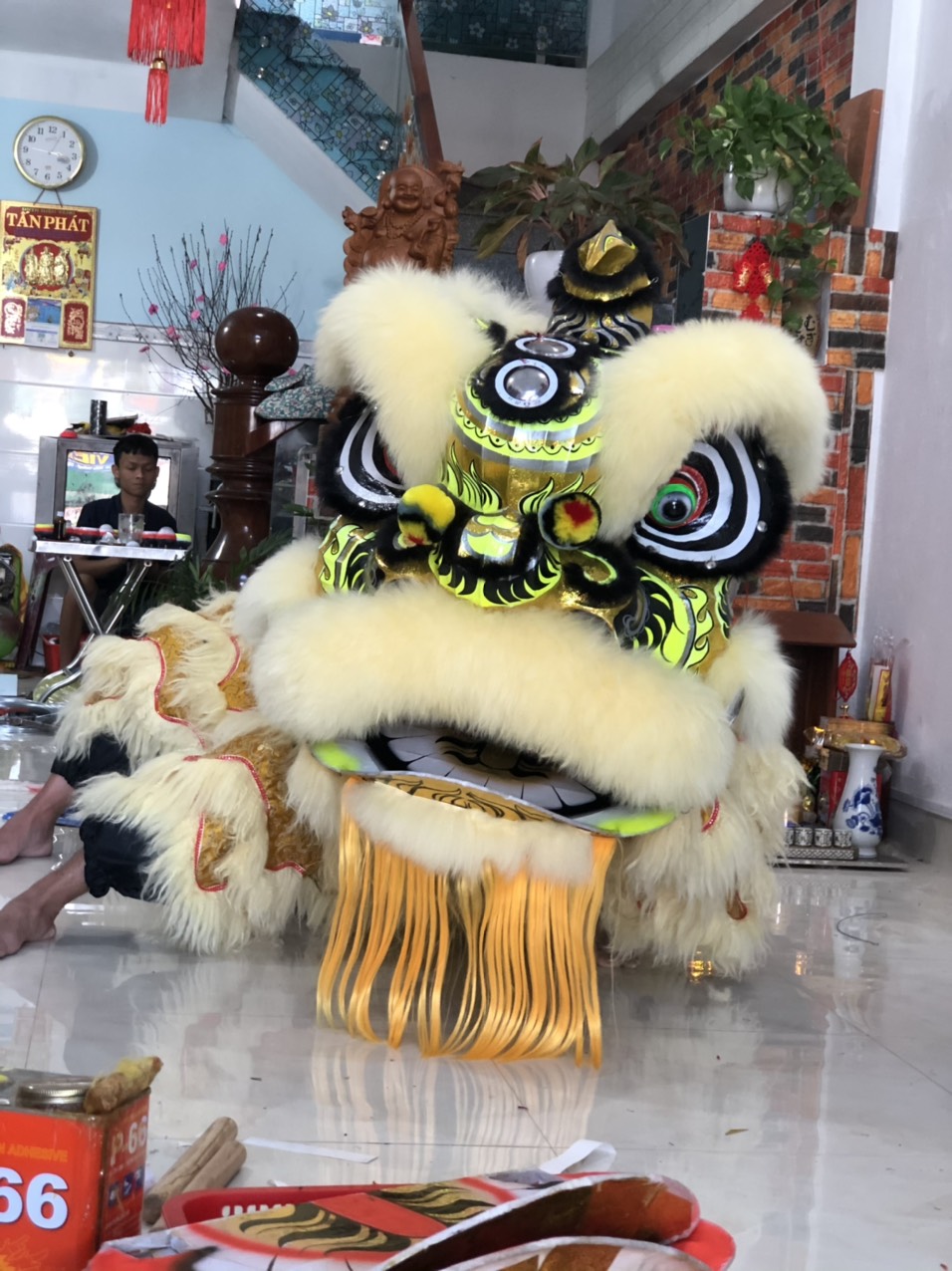 CÁCH PHÂN BIỆT ĐẦU LÂN PHẬT SƠN VÀ LÂN MENGKOK - LOFOCHI
