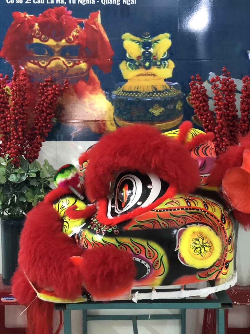 Lân miệng tròn lên lông cừu màu trắng