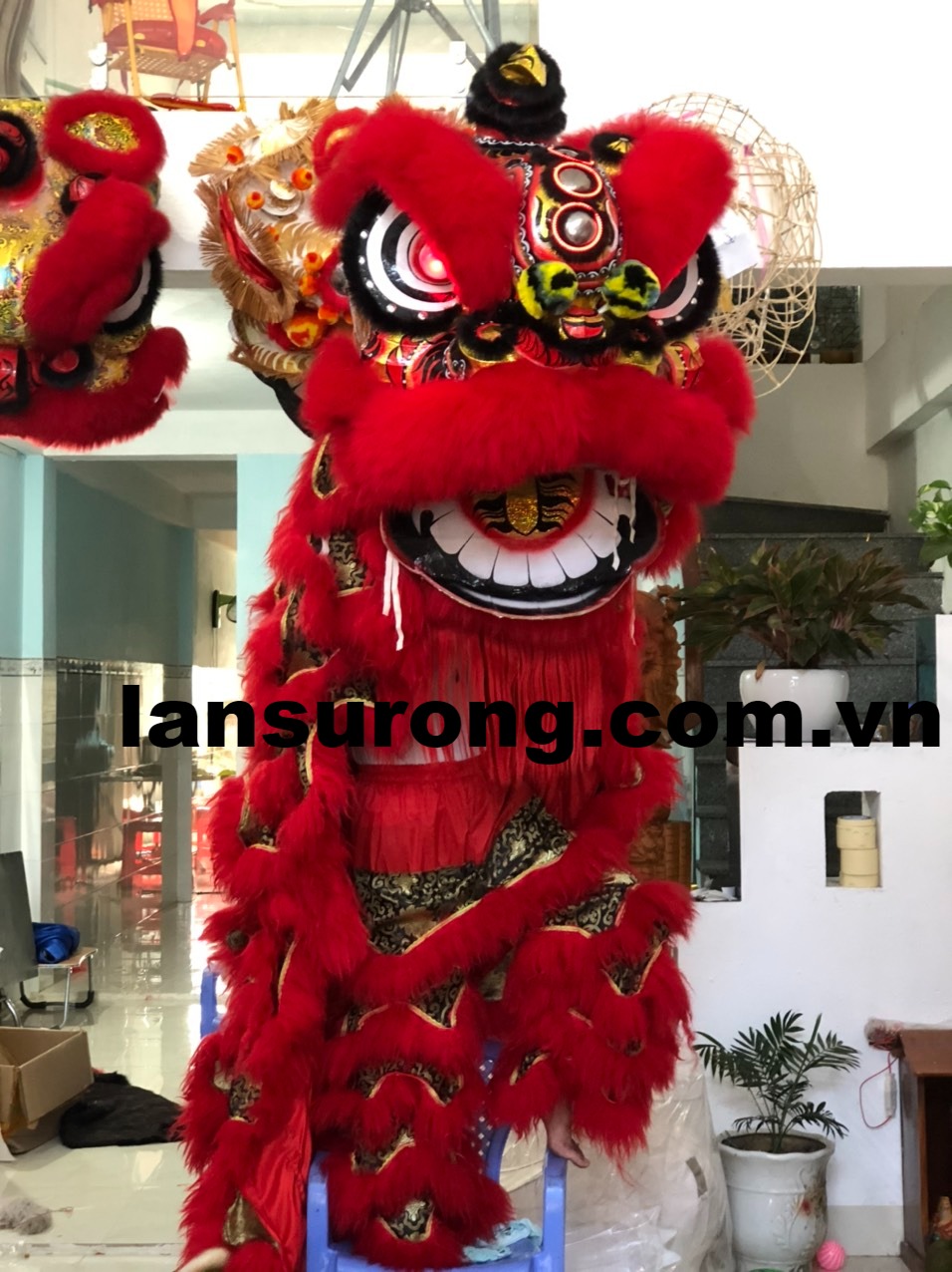 Hình ảnh lân sư rồng đẹp Hình Ảnh Lân Sư Rồng Đẹp