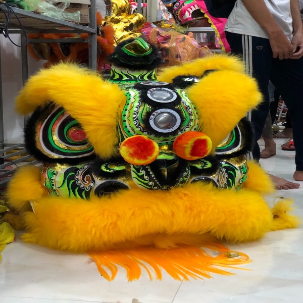 Lân miệng dảnh lông cừu vàng