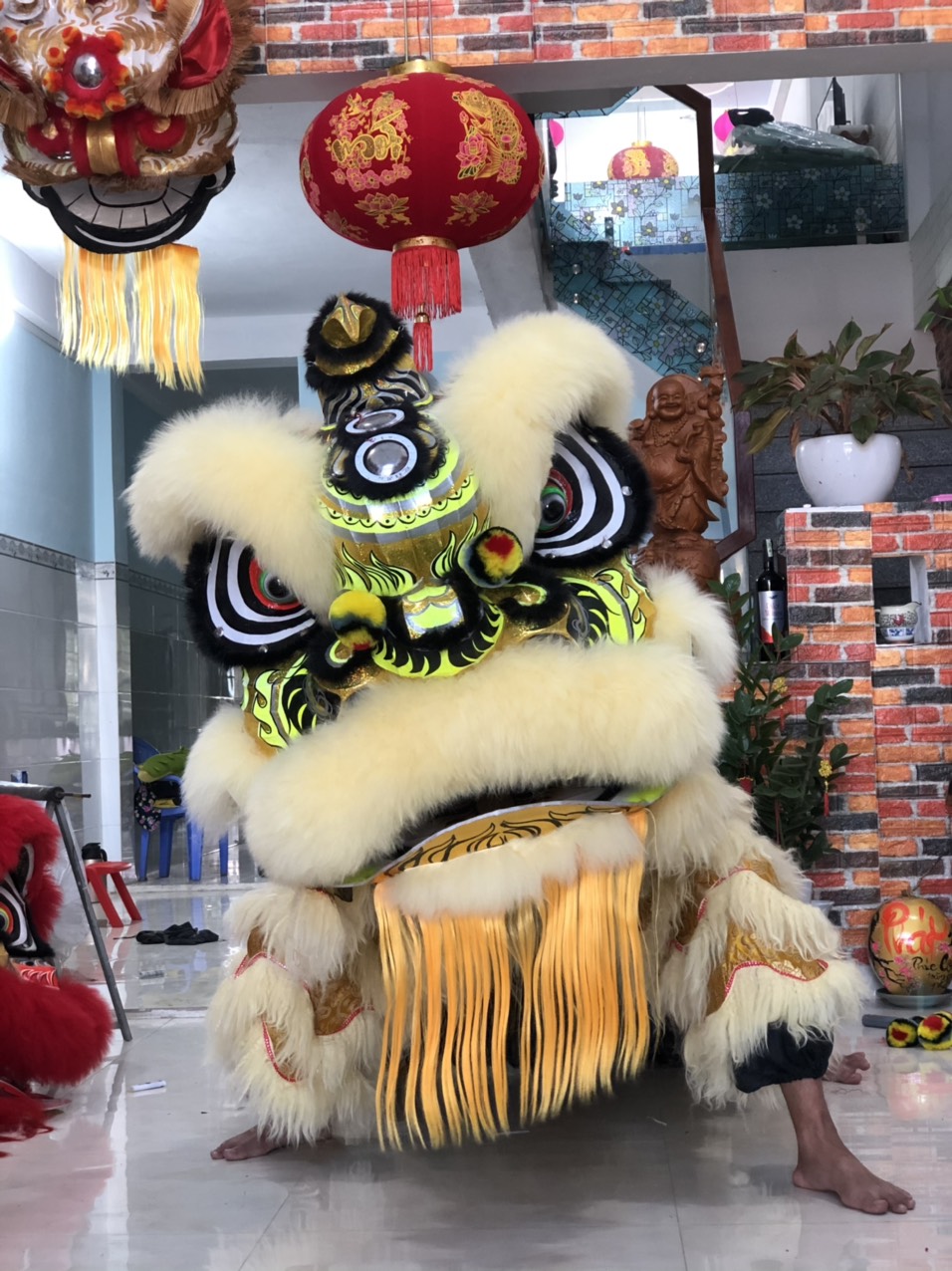 Các mẫu đầu lân dịp trung thu