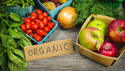 Kỹ thuật trồng rau sạch trong chậu xốp tại nhà đơn giản