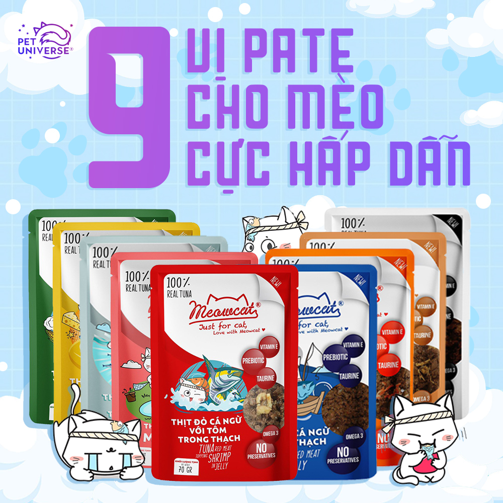 4/3 - QUẢN THỨC ĂN HẠT CHO QUÀNG THƯỢNG GIỮ TRỌN DINH DƯỠNG