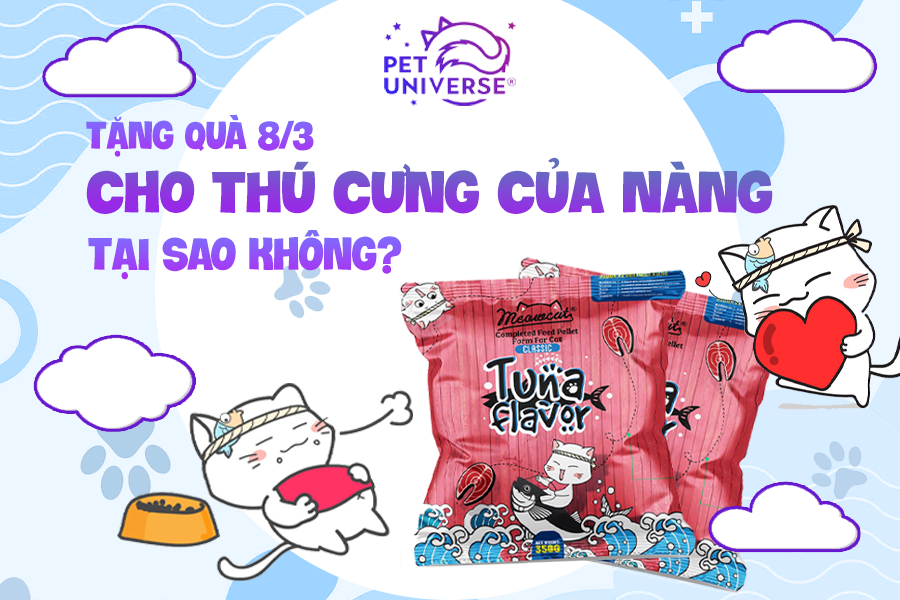 6/3 - TẶNG QUÀ 8/3 CHO THÚ CƯNG CỦA NÀNG, TẠI SAO KHÔNG?