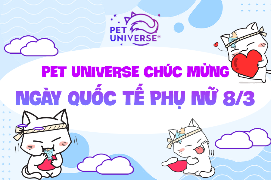 8/3 - UNIVERSE CHÚC MỪNG NGÀY QUỐC TẾ PHỤ NỮ 8/3