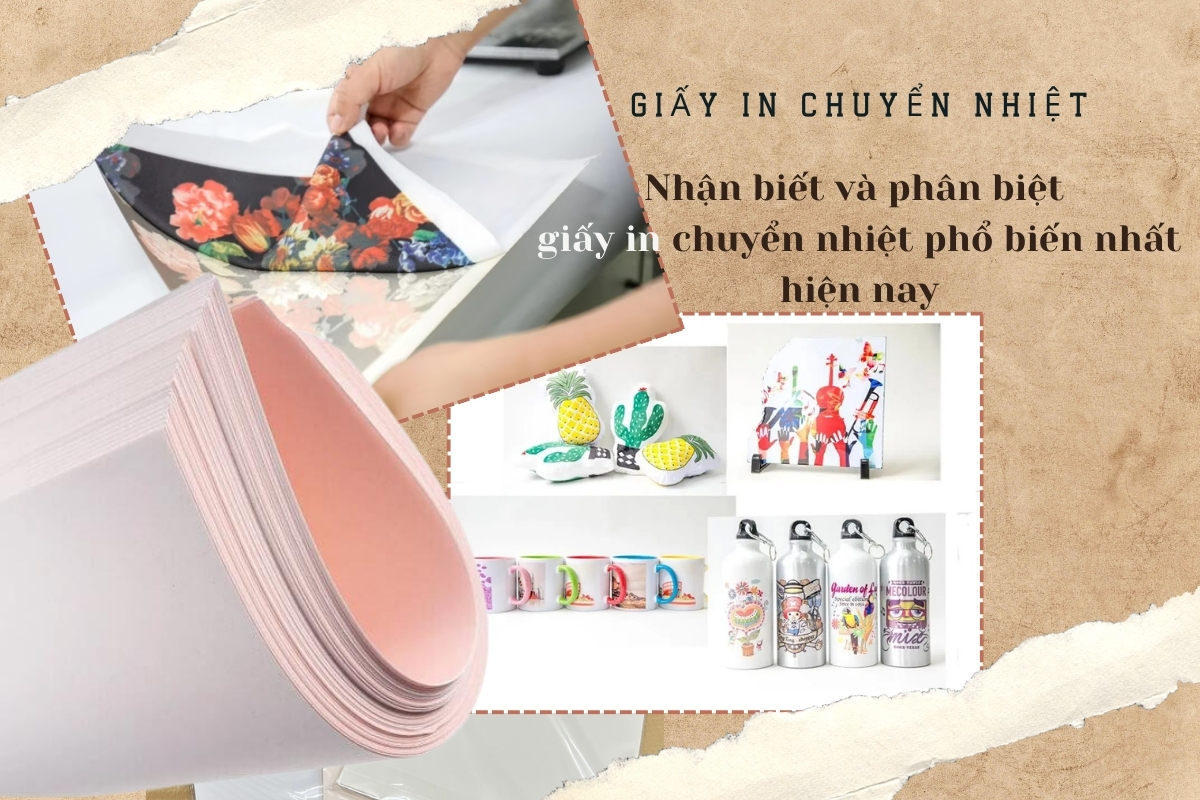 Nhận biết và phân biệt 3 loại giấy in chuyển nhiệt được sử dụng phổ biến nhất hiện nay