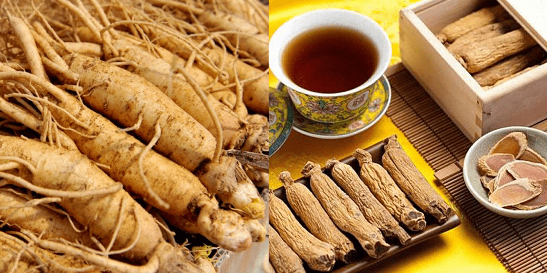 Sâm hàn quốc