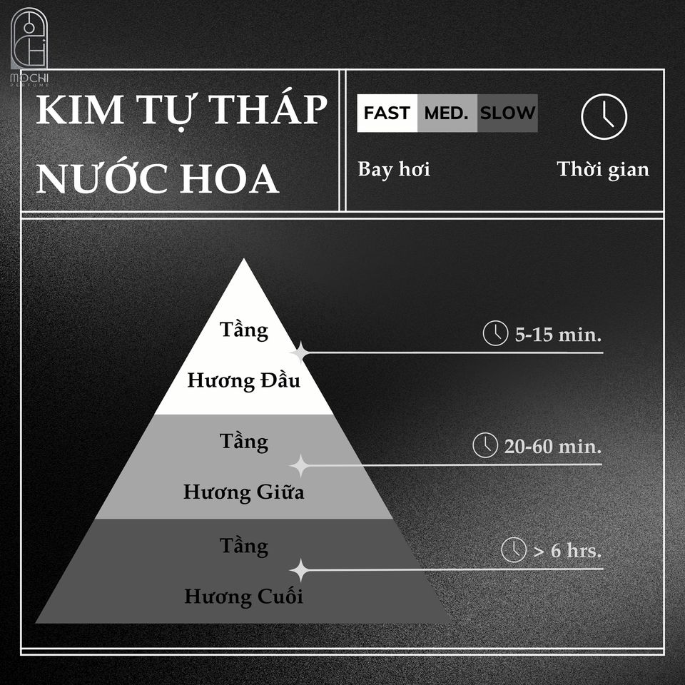 𝐓𝐀̂̀𝐍𝐆 𝐇𝐔̛𝐎̛𝐍𝐆 𝐓𝐑𝐎𝐍𝐆 𝐍𝐔̛𝐎̛́𝐂 𝐇𝐎𝐀