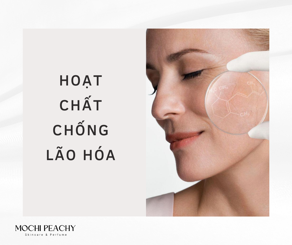 HOẠT CHẤT CHỐNG LÃO HÓA HOẠT CHẤT CHỐNG LÃO HÓA