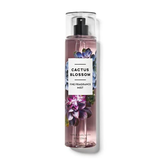 Bath & Body Works Mist 236ml