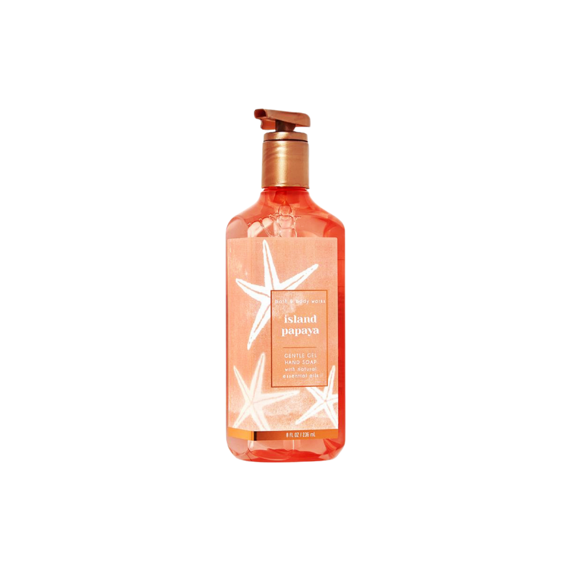 Bath & Body Works Nước Rửa Tay