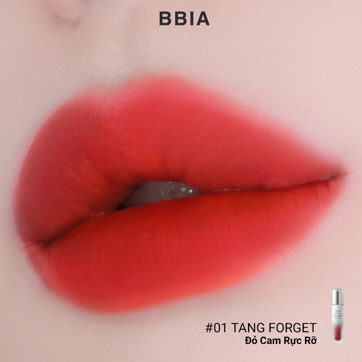 BBIA Air Fit Tint D/C