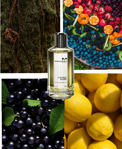Mancera Cedrat Boise EDP 120ml