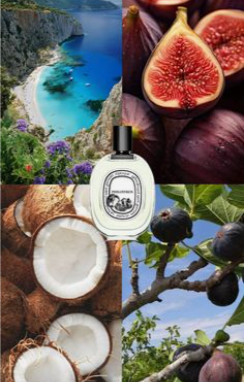 Diptyque Philosykos EDP 75ml