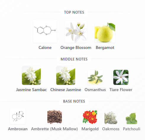 Atelier Des Ors Nuda Veritas 100ml
