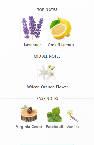 https://bizweb.dktcdn.net/100/412/708/products/image-1778834597274.png?v=1779444095777