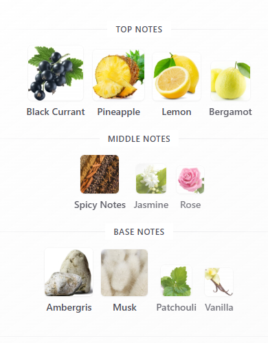 https://bizweb.dktcdn.net/100/412/708/products/image-1778835473233.png?v=1779442709670