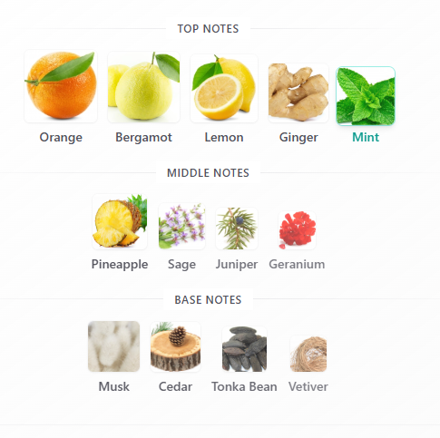https://bizweb.dktcdn.net/100/412/708/products/image-1778835508637.png?v=1779442714217